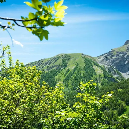 La Ciaburna Skiing Nearby - Happy *